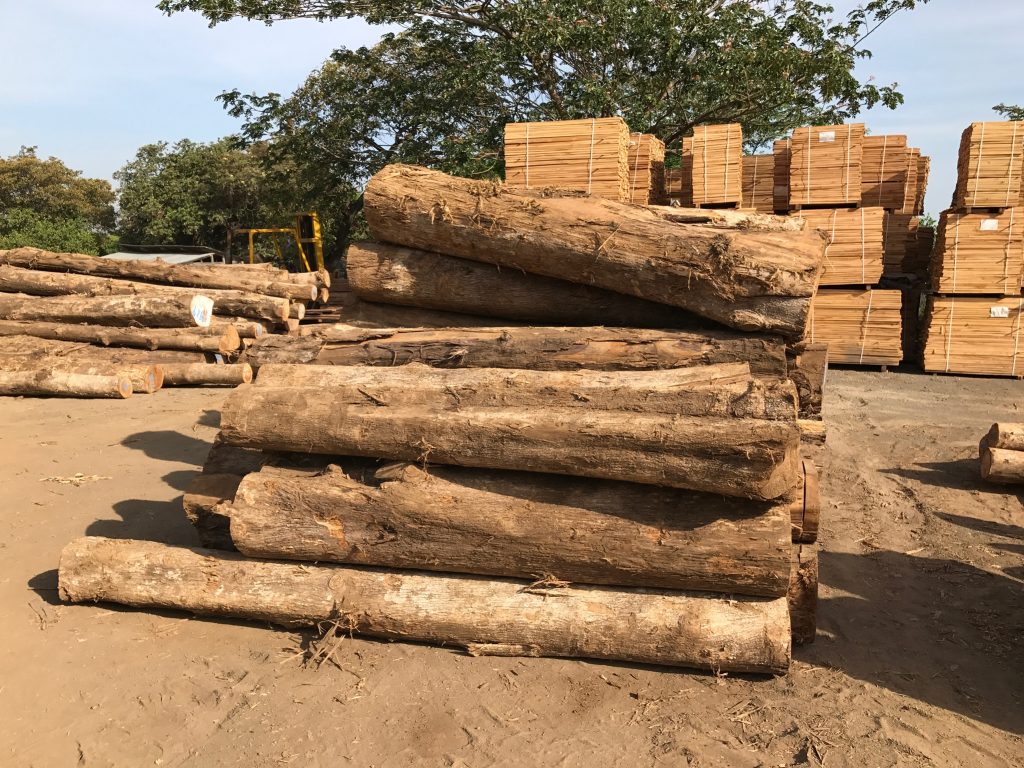 teak19 Limonapa Teak High Quality Teak Farm